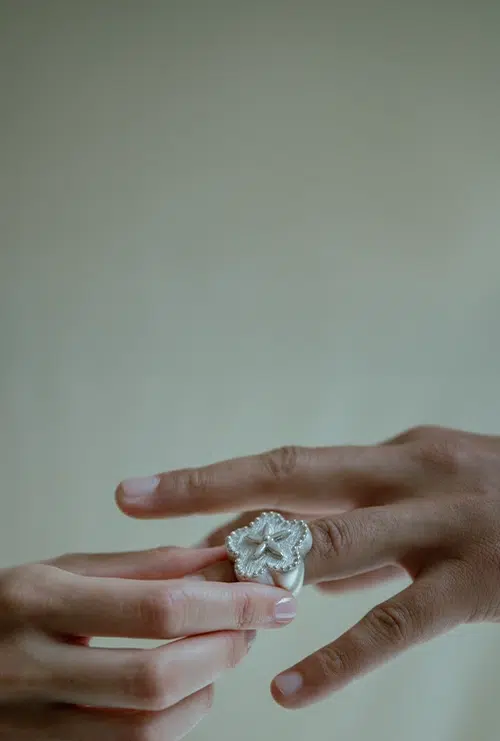 Anillo Crisálida plata